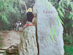 -廊坊市自然公园