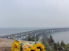 -星海湾跨海大桥
