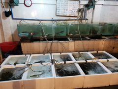 -高坎一品甲鱼庄(两河店)