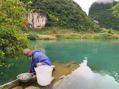 -靖西鹅泉风景区