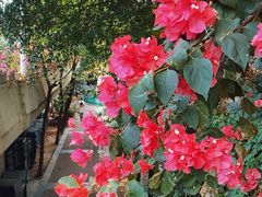 -人民公园(罗湖区)