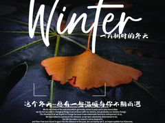 -中山公园