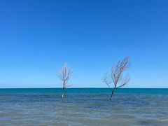 -青海湖国家重点风景名胜区