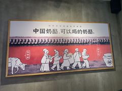 -宝珠奶酪(浦东金桥店)