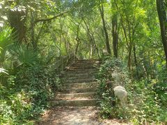-青龙山国家森林公园