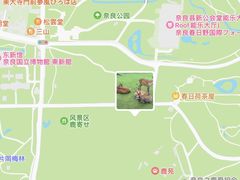 -奈良公园