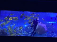 -重庆欢乐海底世界