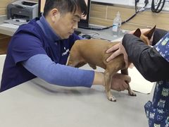 -爱侣宠医·鹦鹉专科·小型哺乳类·异宠专科(灵石路店)