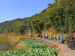-广州市石门国家森林公园