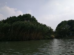 -青枫公园