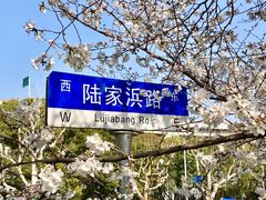 -锦江乐园(地铁站)
