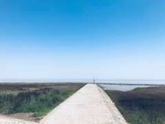 -南汇嘴观海公园