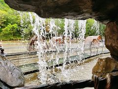 -参仙谷生态旅游度假区