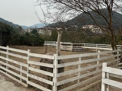-宁波九龙湖开元度假村