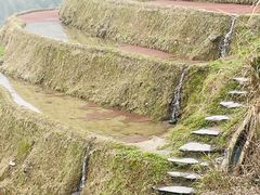-龙脊梯田