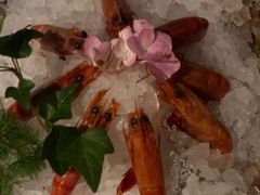 -上海外滩英迪格酒店