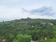 -白水寺森林公园