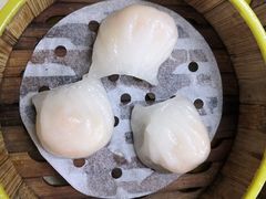 -肥佬夜茶(早茶·西乡店)