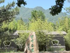 -阳台山自然风景区