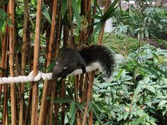 -成都市活水公园