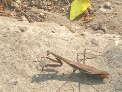 -蟠龙山长城景区