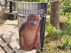 -武汉动物园