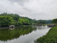 -三水森林公园