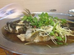 海鲈鱼-無招牌海鮮(芽笼店)