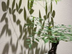 -花锦堂·隐庐