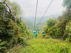 -野象谷景区