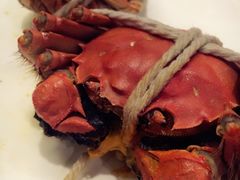 -龙之梦万丽酒店青餐厅
