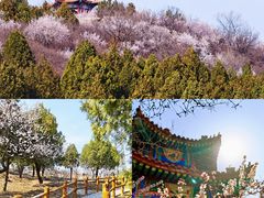 -白水寺森林公园