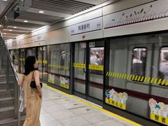 -桃浦新村(地铁站)