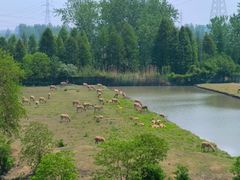 -溱湖国家湿地公园