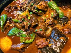 私房土甲鱼-茶叁酒肆·楚味江湖(菱角湖店)