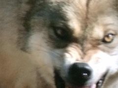 幸福蓝海国际影城(铜陵店)-幸福蓝海国际影城(铜陵店)