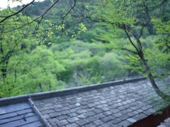 -北京上方山国家森林公园