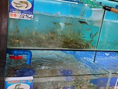 水产区-南海渔家•海鲜•正宗海南菜(海棠湾店)