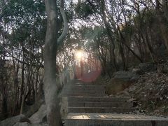 -紫金山山顶公园