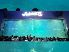 -福州罗源湾海洋世界旅游区
