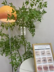 -变美丽半永久定妆连锁·纹眉·机器野生眉