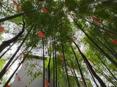-金水泊山庄·花椒鸡(铁山坪店)