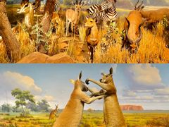 -陕西自然博物馆