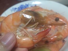 -T11生鲜超市(朝阳公园店)