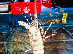 澳洲龙虾-黄沙水产交易市场
