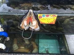 -蚝专家(北滘店)