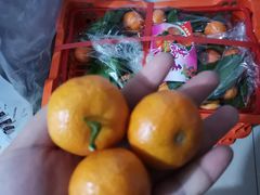 -鲜力达果品批发直销(青山店)