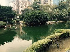 -九龙公园