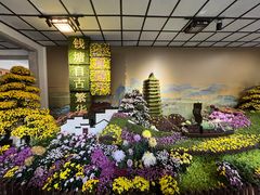 -杭州植物园