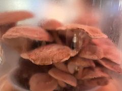 -捞王猪肚鸡火锅(金华义乌之心店)